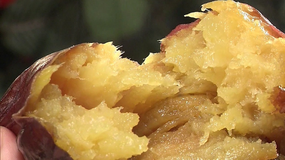 メロンより甘い焼き芋 超トロトロな いもジェンヌ が感動の美味しさだった バナナマンのせっかくグルメ ニュース テレビドガッチ