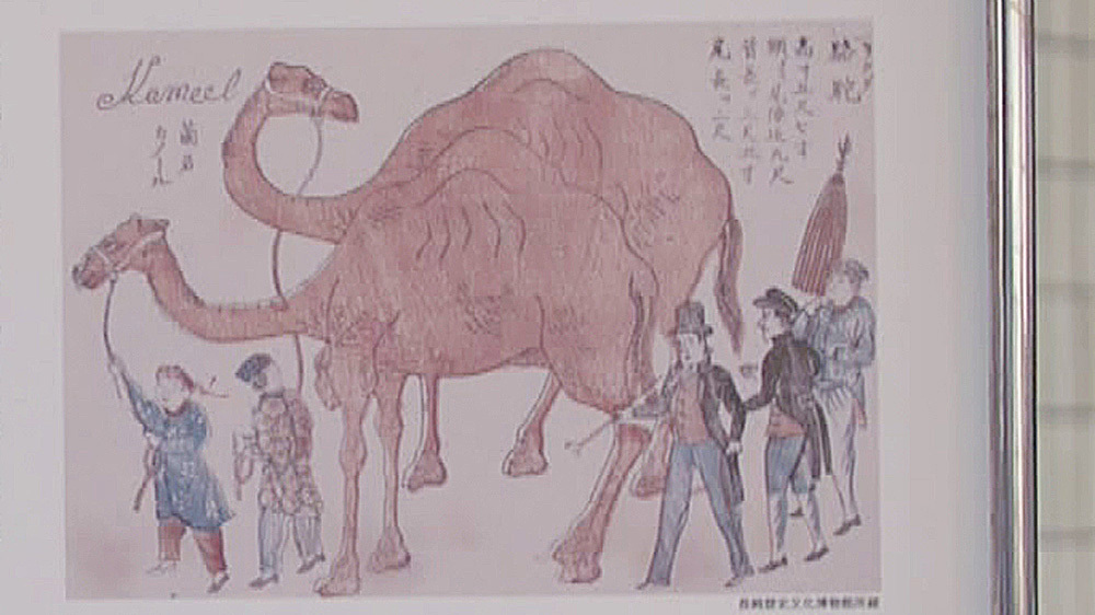 江戸時代に「ラクダ」が日本を歩いていた、ってほんと!?｜TBSテレビ