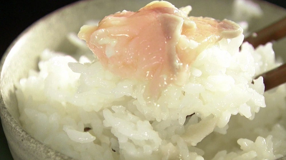 とろっとろ塩麹サーモン！ひと味違う“ご飯のお供”たち｜TBSテレビ