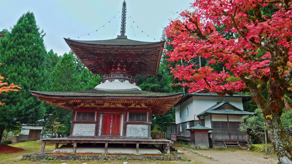 世界遺産』「高野山の四季」約1年かけて8K・4Kカメラで撮影!｜TBSテレビ