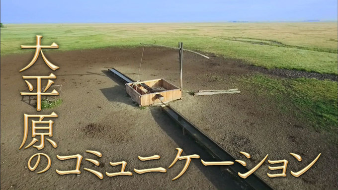 ビックリ仰天】井戸がコミュニケーションツール⁈どうやって？｜TBSテレビ