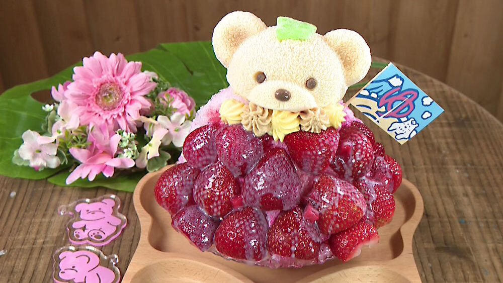 3時のおやつくまちゃん 初めての方におすすめ！くまちゃんが選べる！おためしくまちゃんセット