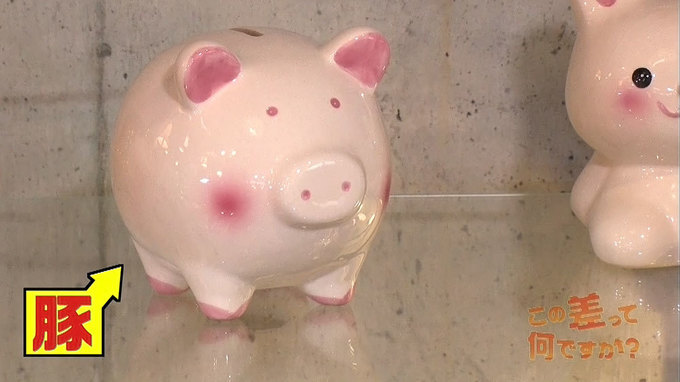 豚の貯金箱はイギリス生まれ 誕生のきっかけは 職人の 勘違い だった この差って何ですか ニュース テレビドガッチ