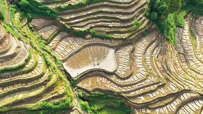世界遺産ハニ棚田12種類　飲み比べセット　12パックセット　中国茶雲南省 世界遺産ハニ棚田12種類飲み比べセット12パックセット中国茶雲南省