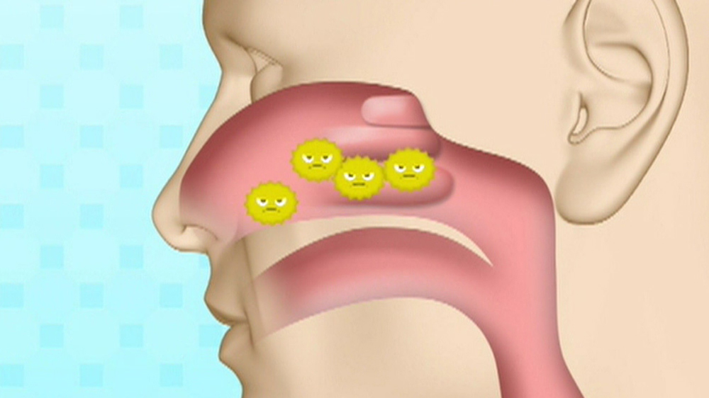 花粉が増えてくる季節 花粉症に悩む方必見のすぐに実践できる対策まとめ 名医のthe太鼓判 ニュース テレビドガッチ
