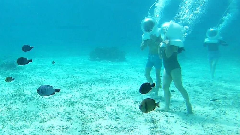 透明度抜群な海でやるべき 定番 最新 アクティビティ 7つの海を楽しもう 世界さまぁ リゾート ニュース テレビドガッチ 透明度抜群な海でやるべき 定番 最新 アクティビティ 7つの海を楽しもう 世界さまぁ リゾート ニュース テレビドガッチ