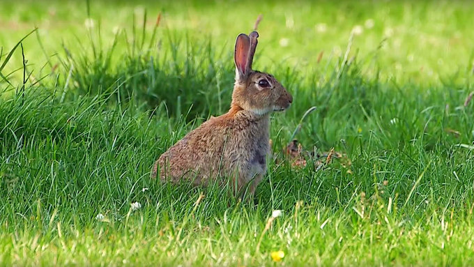 ピーターラビットゆかりの地の世界遺産 Tbsテレビ