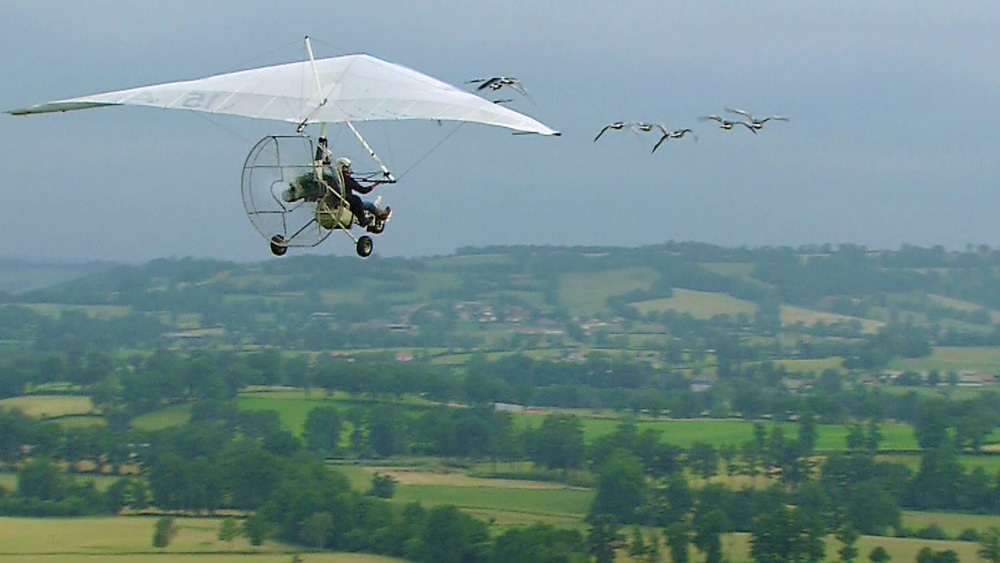 鳥とともに大空を飛べる バードマン とは 世界ふしぎ発見 ニュース テレビドガッチ