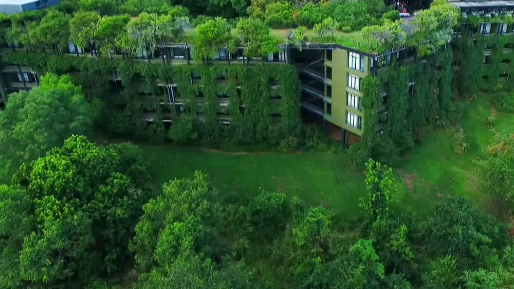 超絶景 まるで森に覆われた美しいリゾートホテル 世界ふしぎ発見 ニュース テレビドガッチ