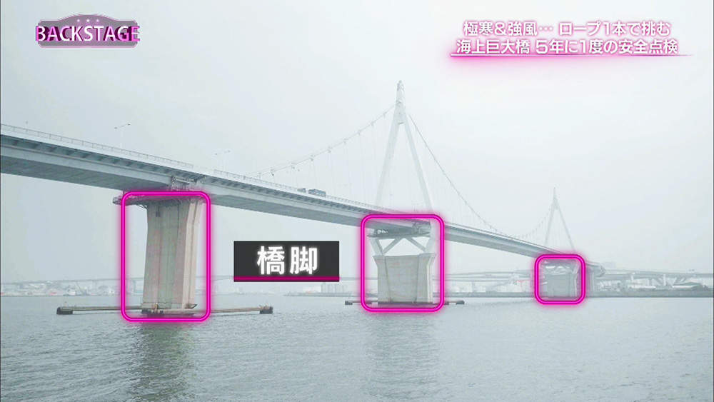 「主塔」と「橋脚」双方を、10日ほどかけて点検