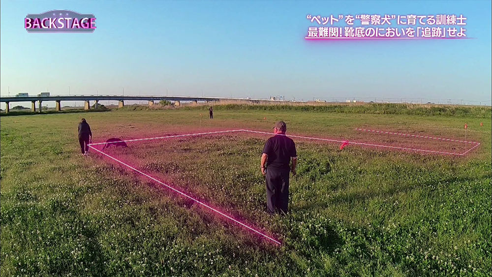 においだけを頼りに目標を追跡する