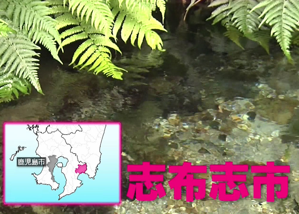 水が豊富な志布志市