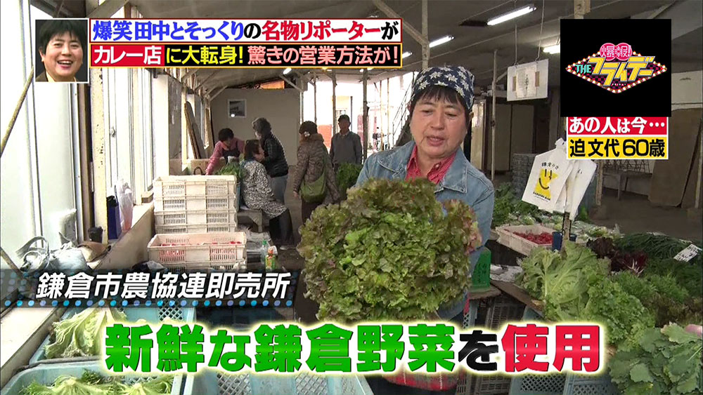 付け合わせのサラダには新鮮な鎌倉野菜を使用