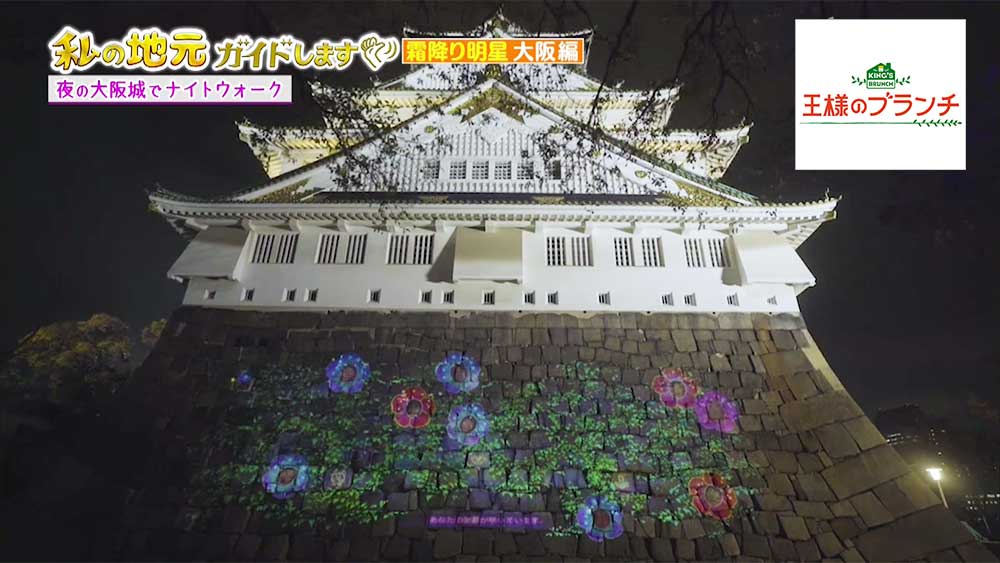 夜の大阪城公園が今アツい 笑顔の花 を咲かせる体験型イルミネーションが素敵 王様のブランチ ニュース テレビドガッチ
