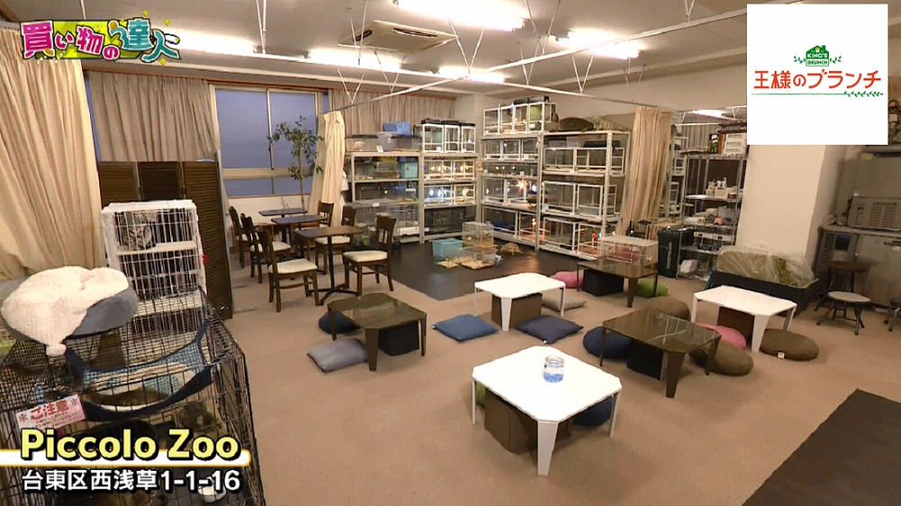 東京・浅草にある「Piccolo Zoo」