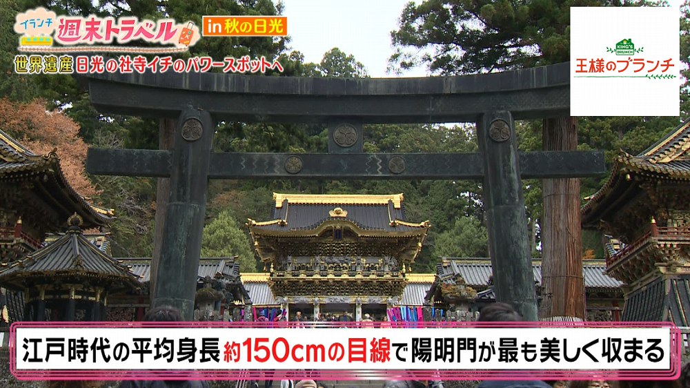 陽明門が鳥居の中にぴったりと収まる