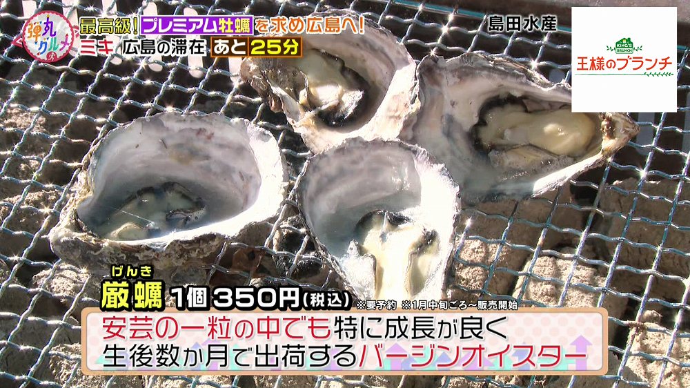 「厳蠣(げんき)」
