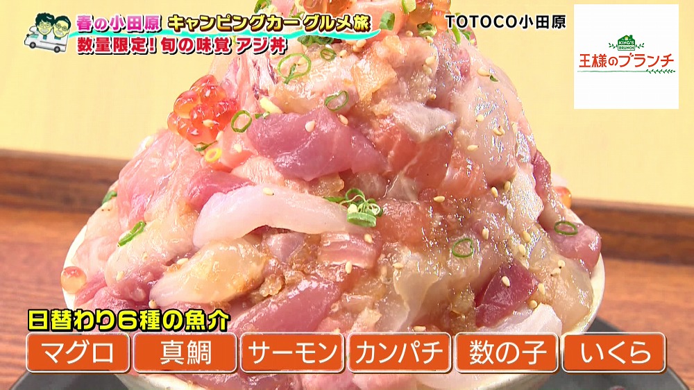6種の魚介が山盛り 豪華すぎる海鮮丼を発見 王様のブランチ Tverプラス 最新エンタメニュース
