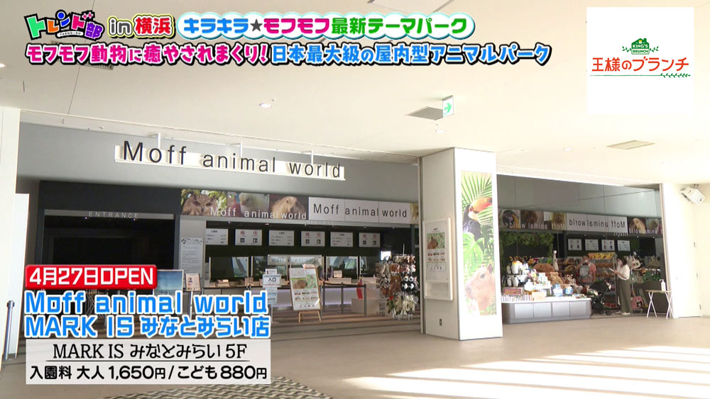 Moff animal world MARK IS みなとみらい店