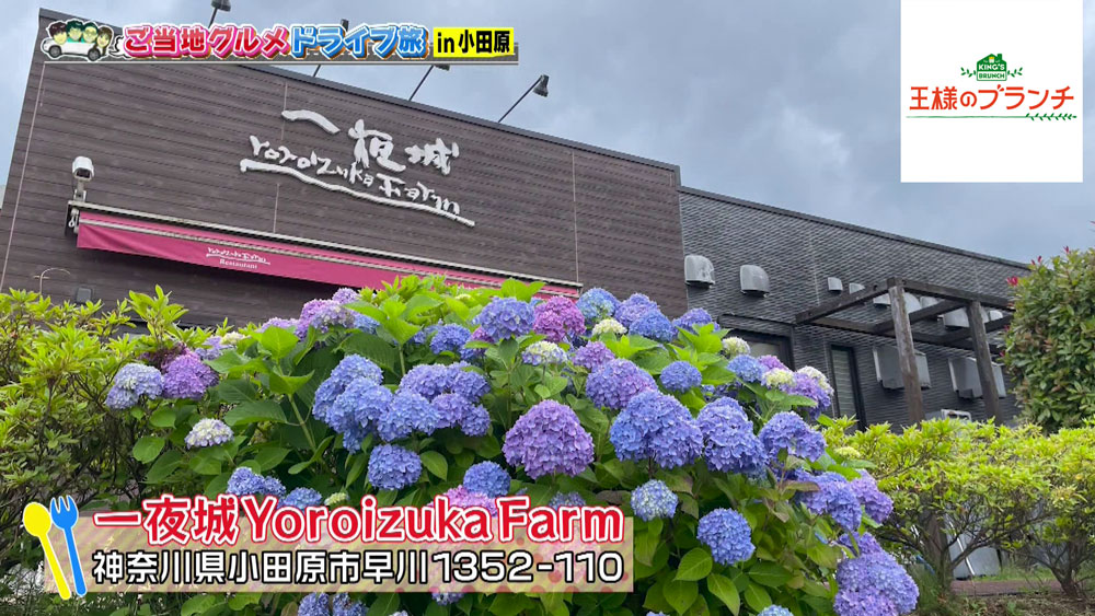 「一夜城Yoroizuka Farm」