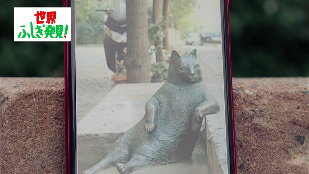 2016年に亡くなってしまった“座る猫”のトンビリですが、その人気から銅像が作られました。