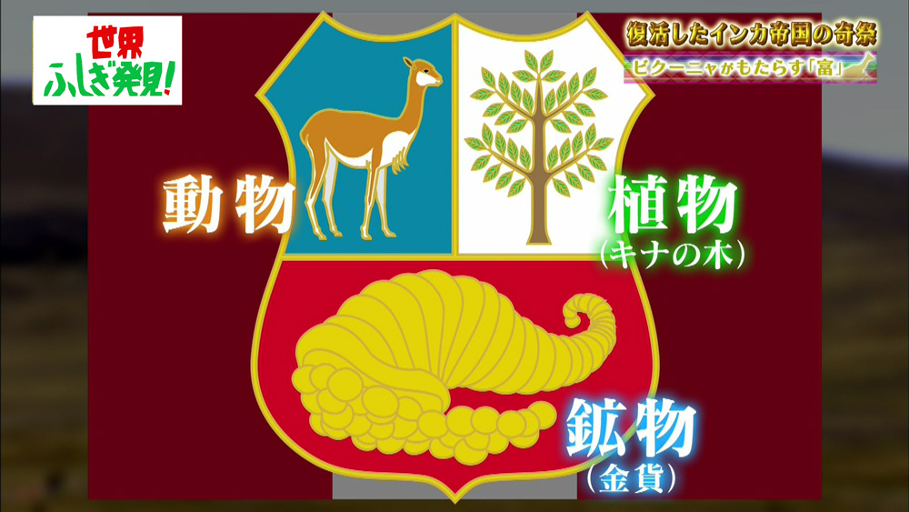 期間限定セール 新品 ペルー ビクーニャセット 速達メール便送料無料 Www Purpicks Com