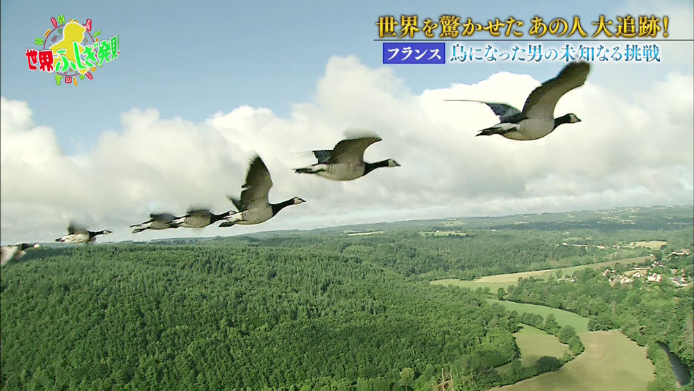 鳥とともに大空を飛べる バードマン とは 世界ふしぎ発見 ニュース テレビドガッチ