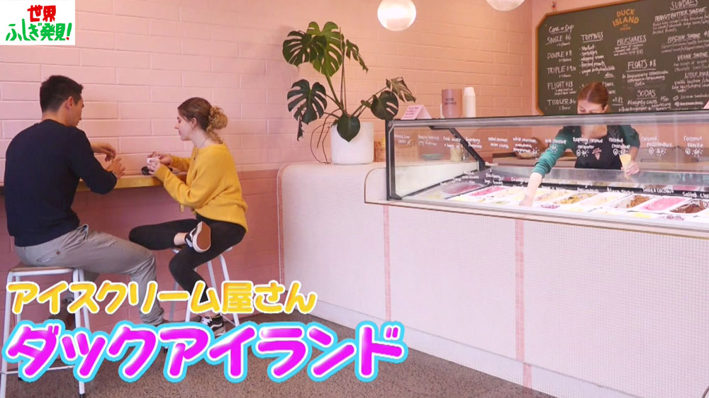 大人気の「ダックアイランド」