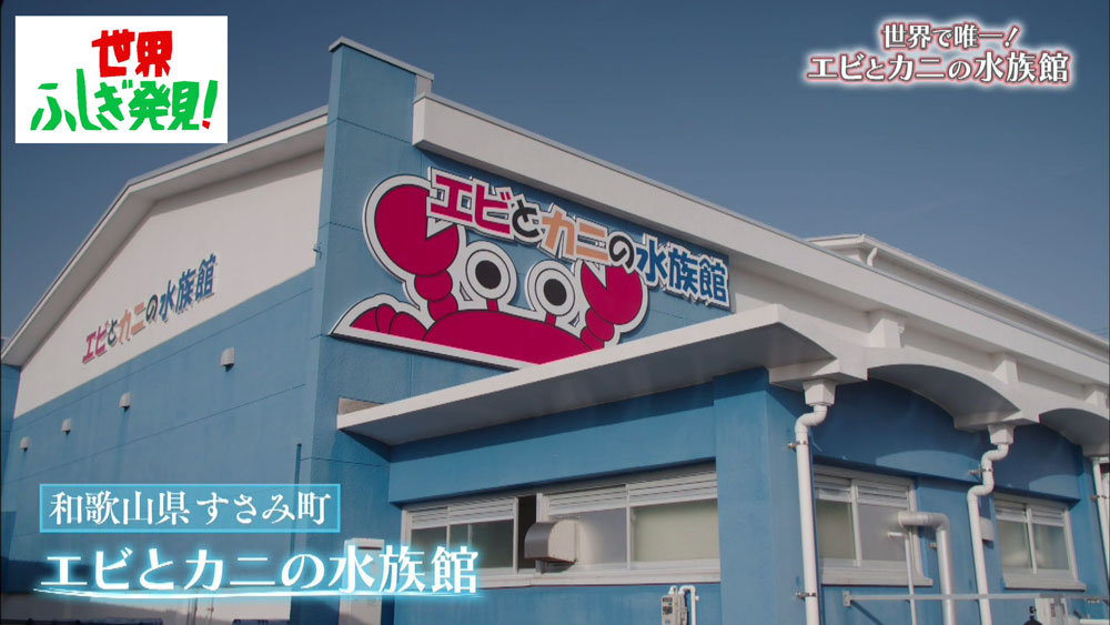 「エビとカニの水族館」