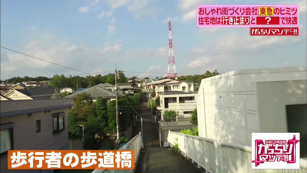 歩行者専用の歩道橋