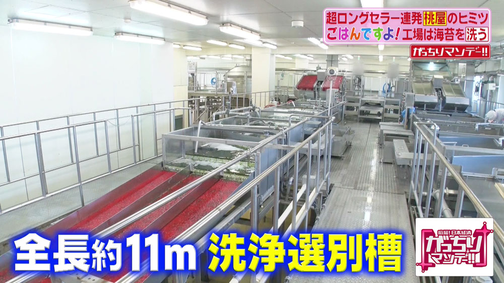 洗浄選別槽で海苔を洗浄