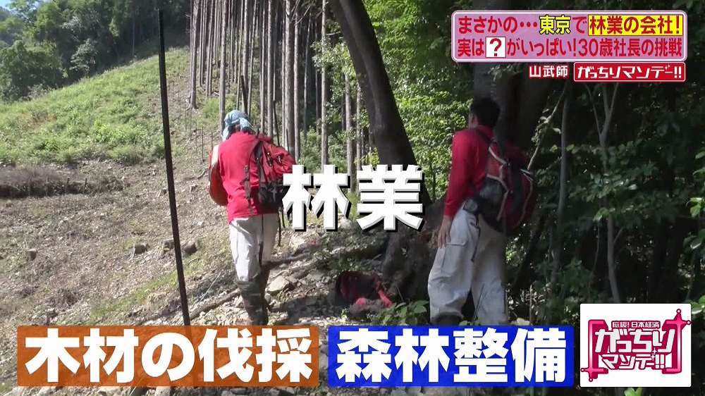 約4割が森林の東京