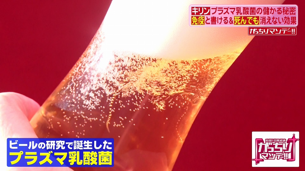 ビールの研究課程でプラズマ乳酸菌を発見