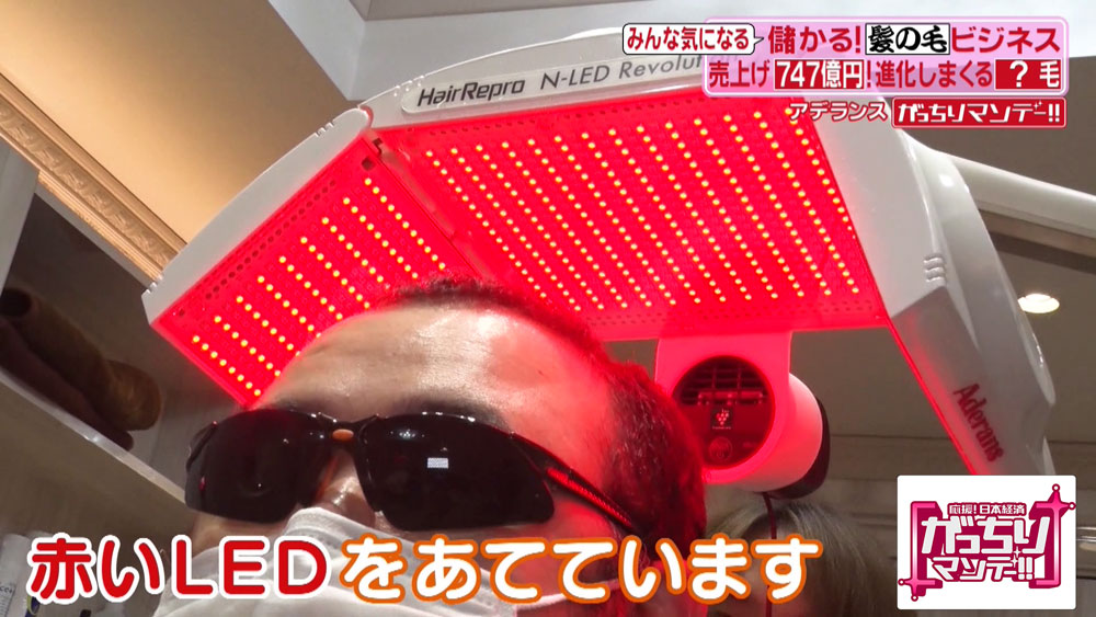 赤いLEDを頭皮全体に照射