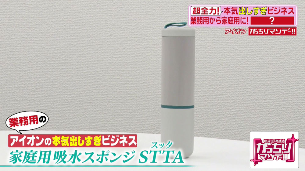 家庭用吸水スポンジ「STTA（スッタ）」