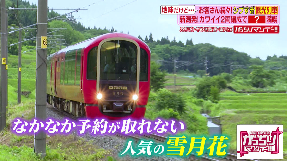 新潟県にある「えちごトキめき鉄道」の「雪月花」