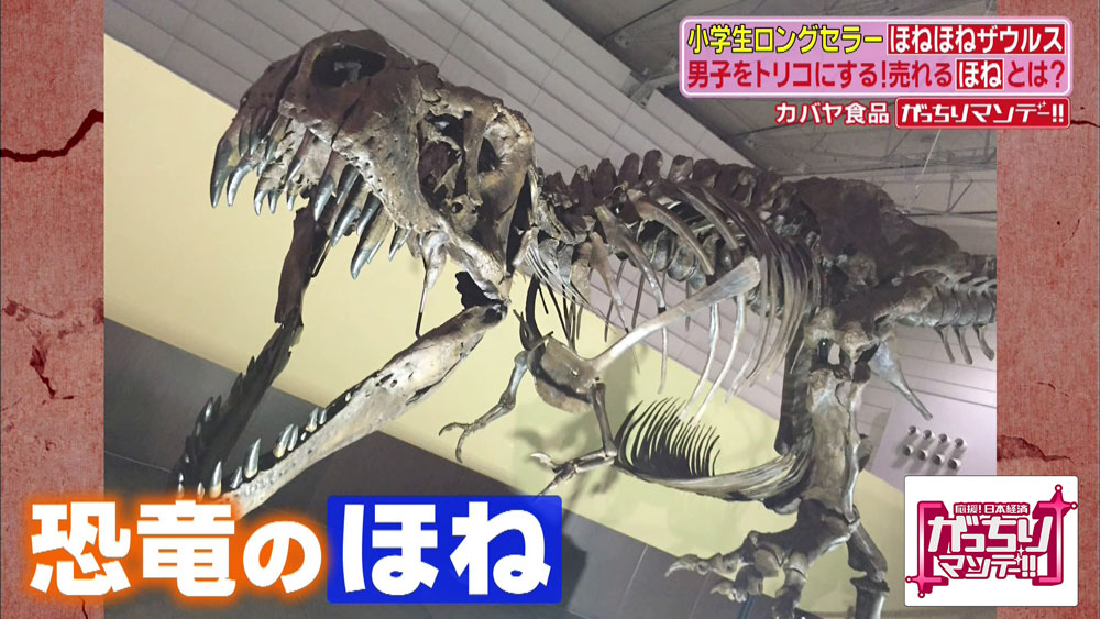 小学生にとって憧れの骨をリサーチしたところ、恐竜のほねに行きついた