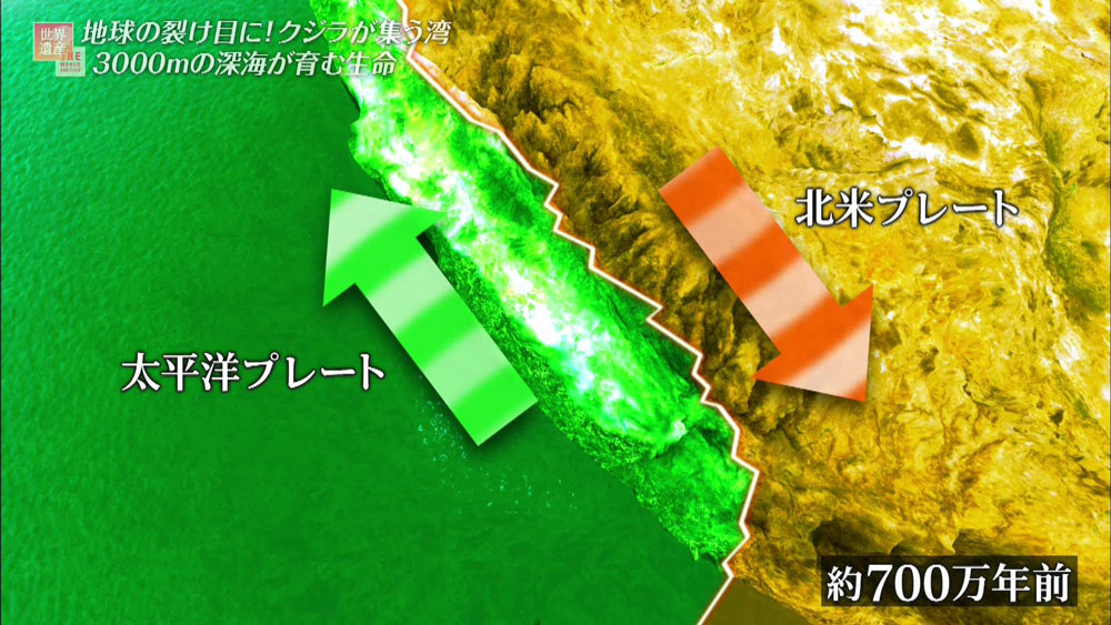 プレートの境目が横ずれが発生