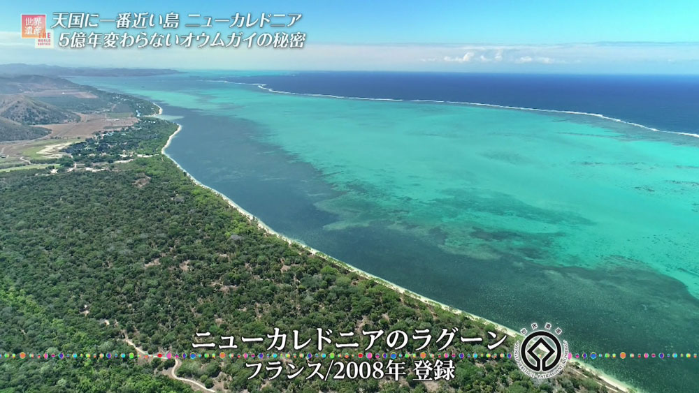 世界遺産に登録されたラグーン