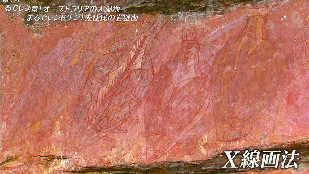 “X線画法”で描かれた絵