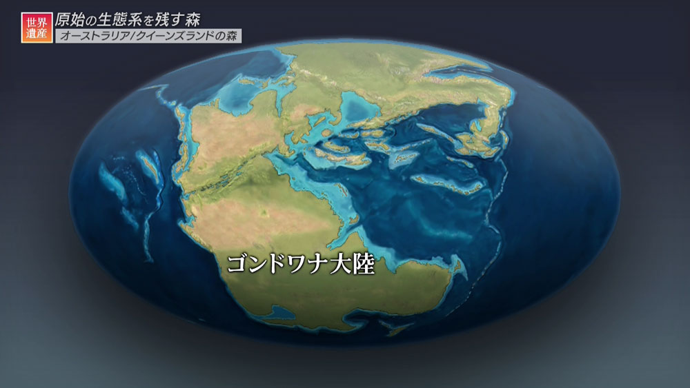 太古の昔、地球には「ゴンドワナ大陸」という巨大な大陸があった