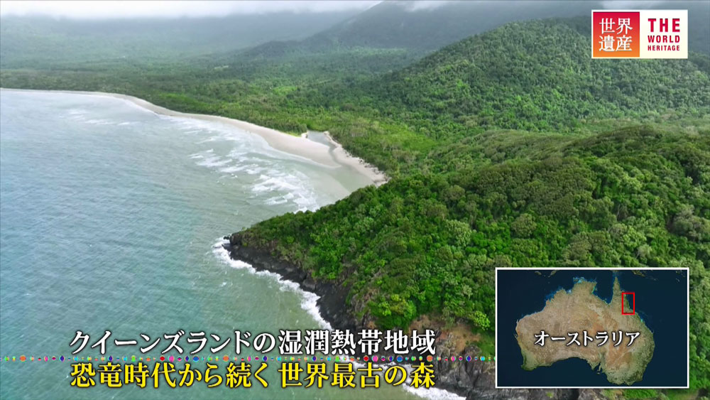 クイーンズランドの湿潤熱帯地域