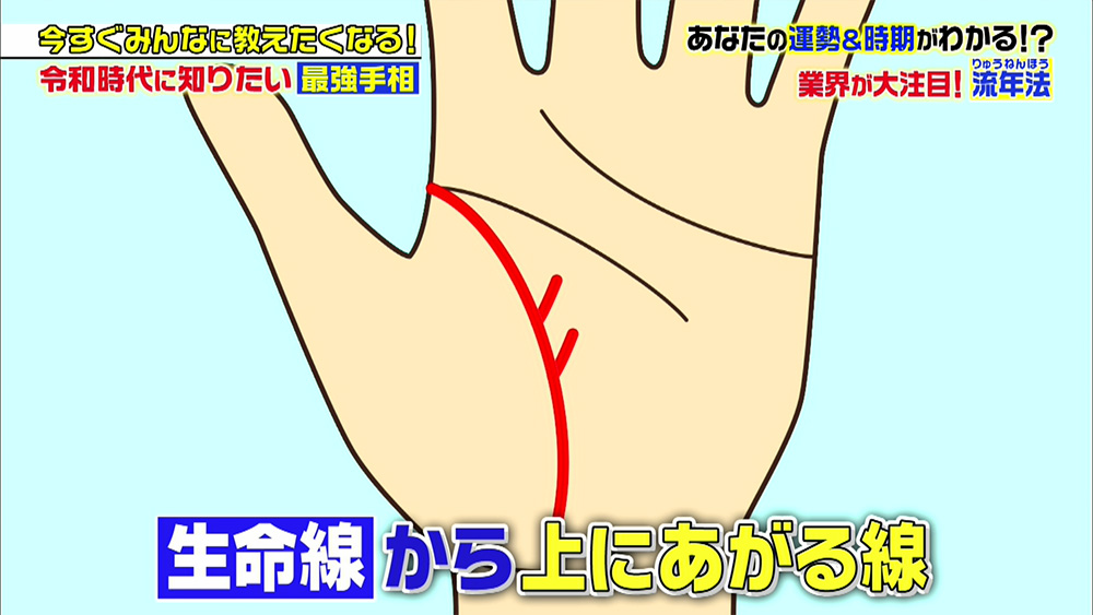 生命線から上方向に伸びる“細かい線”