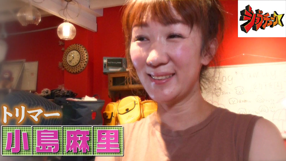 カリスマトリマー小島麻里さん