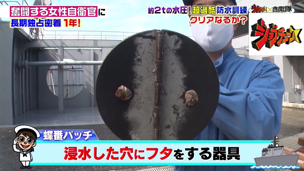 「蝶番パッチ」