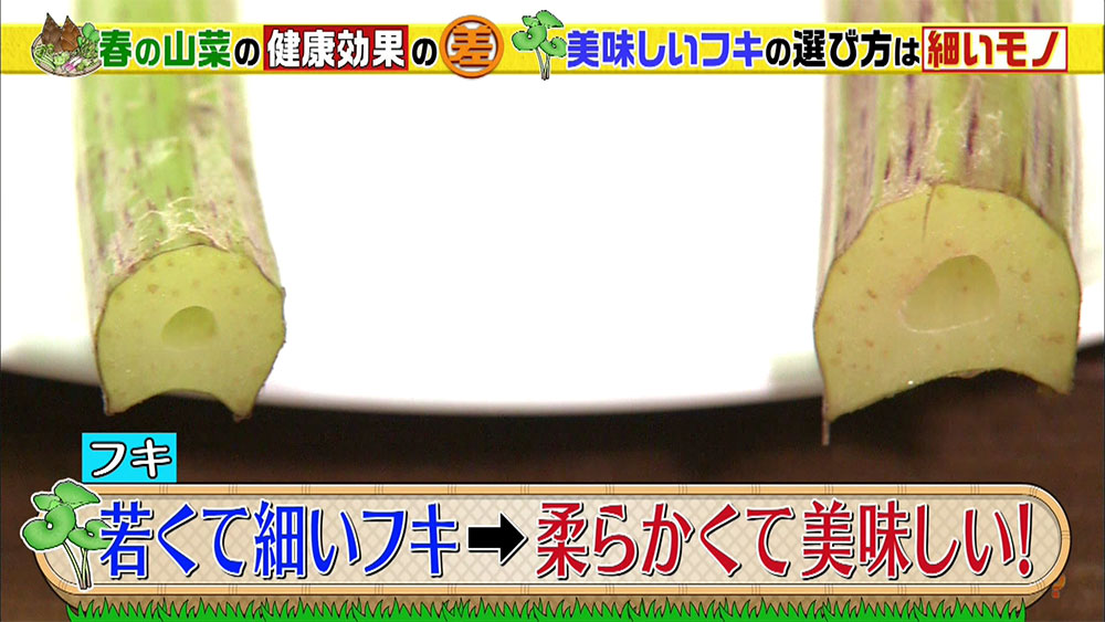 フキを買うときのポイントは細いものを選ぶこと