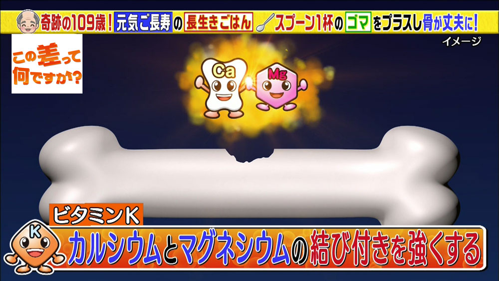 カルシウムとマグネシウムの結び付きを強くしてくれるビタミンK