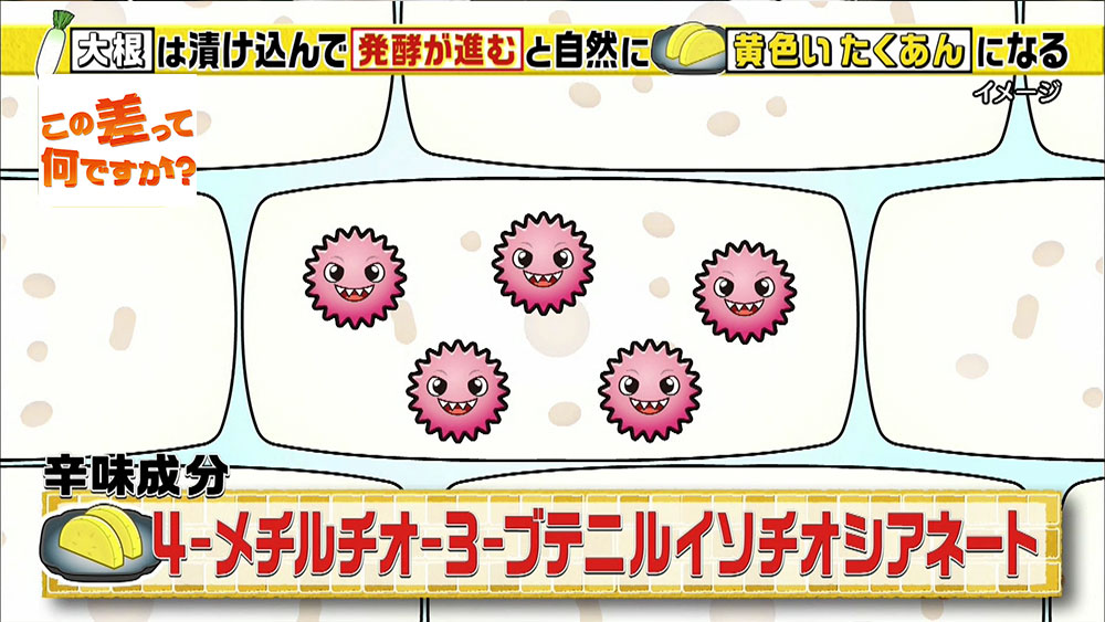 大根は白いのに、なぜ「たくあん」は黄色いの？  この差って何ですか 