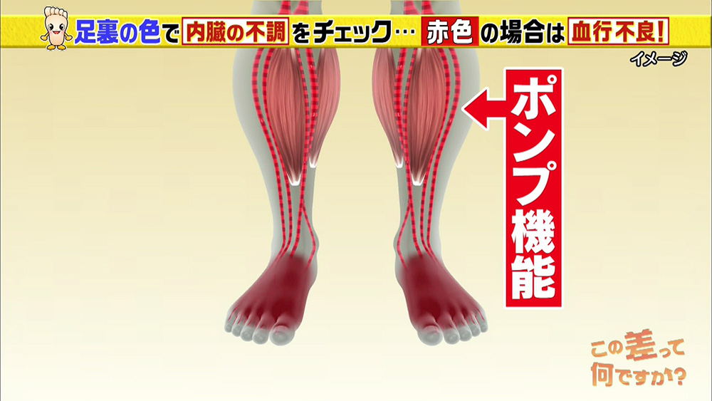 内臓の不調は色でわかる 足の裏 を見るだけ簡単セルフチェック この差って何ですか ニュース テレビドガッチ