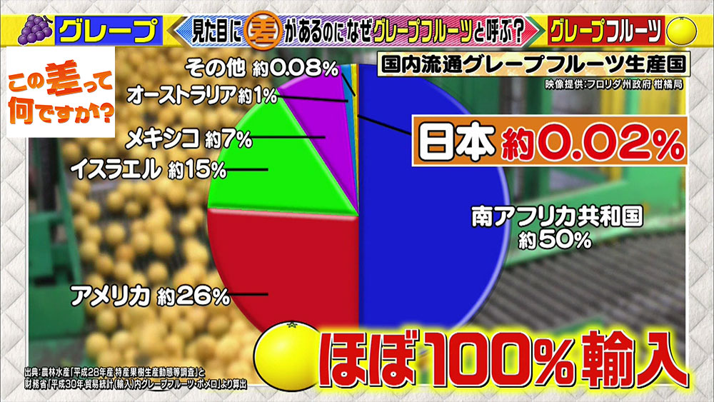 グレープ と グレープフルーツ には意外な共通点が隠されていた この差って何ですか ニュース テレビドガッチ